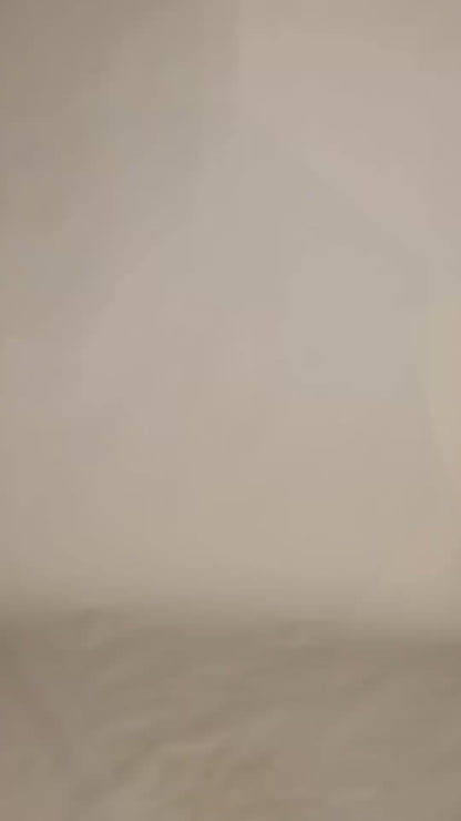 Boardshort Terral Botânico