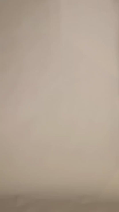 Boardshort Terral Café